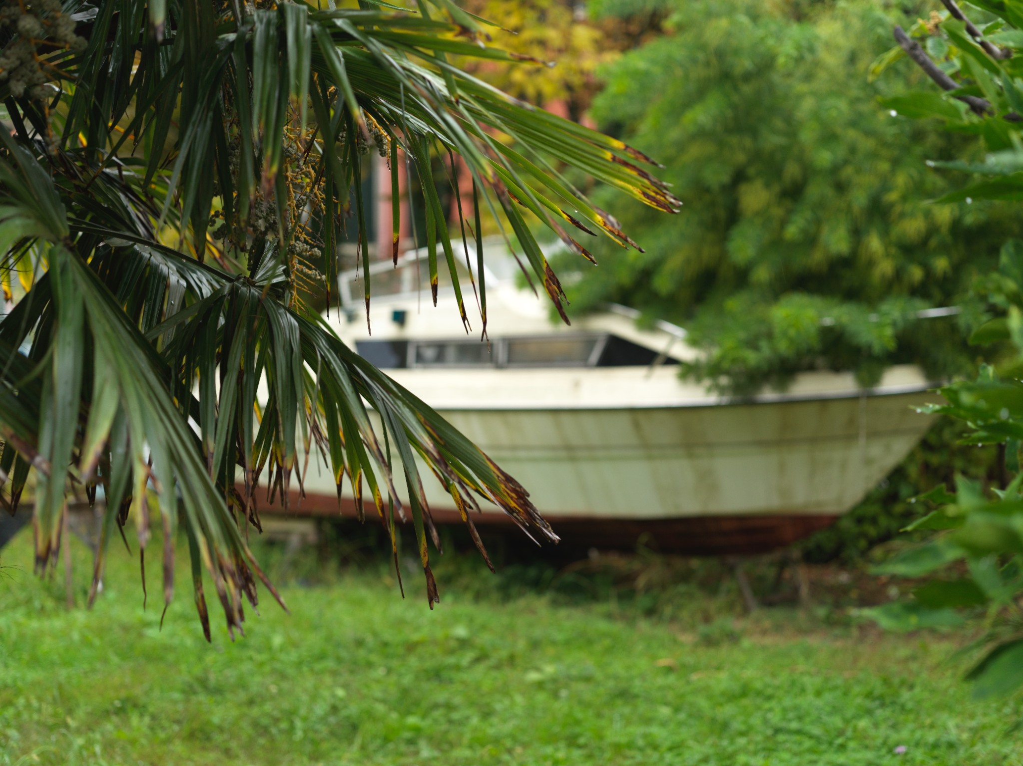 Venice 2025 oct nov 0007 