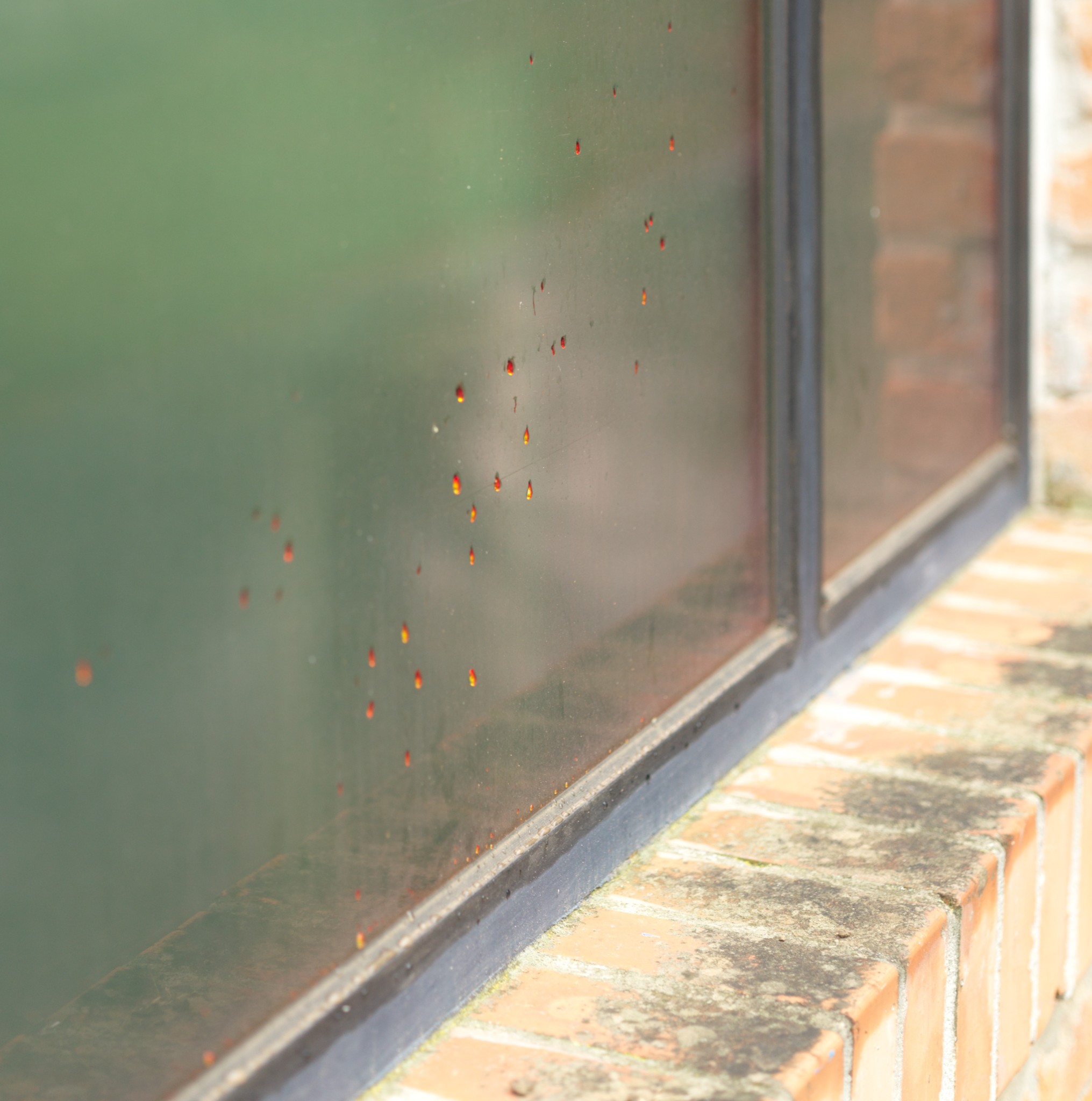 Venice 2025 oct nov 0008 