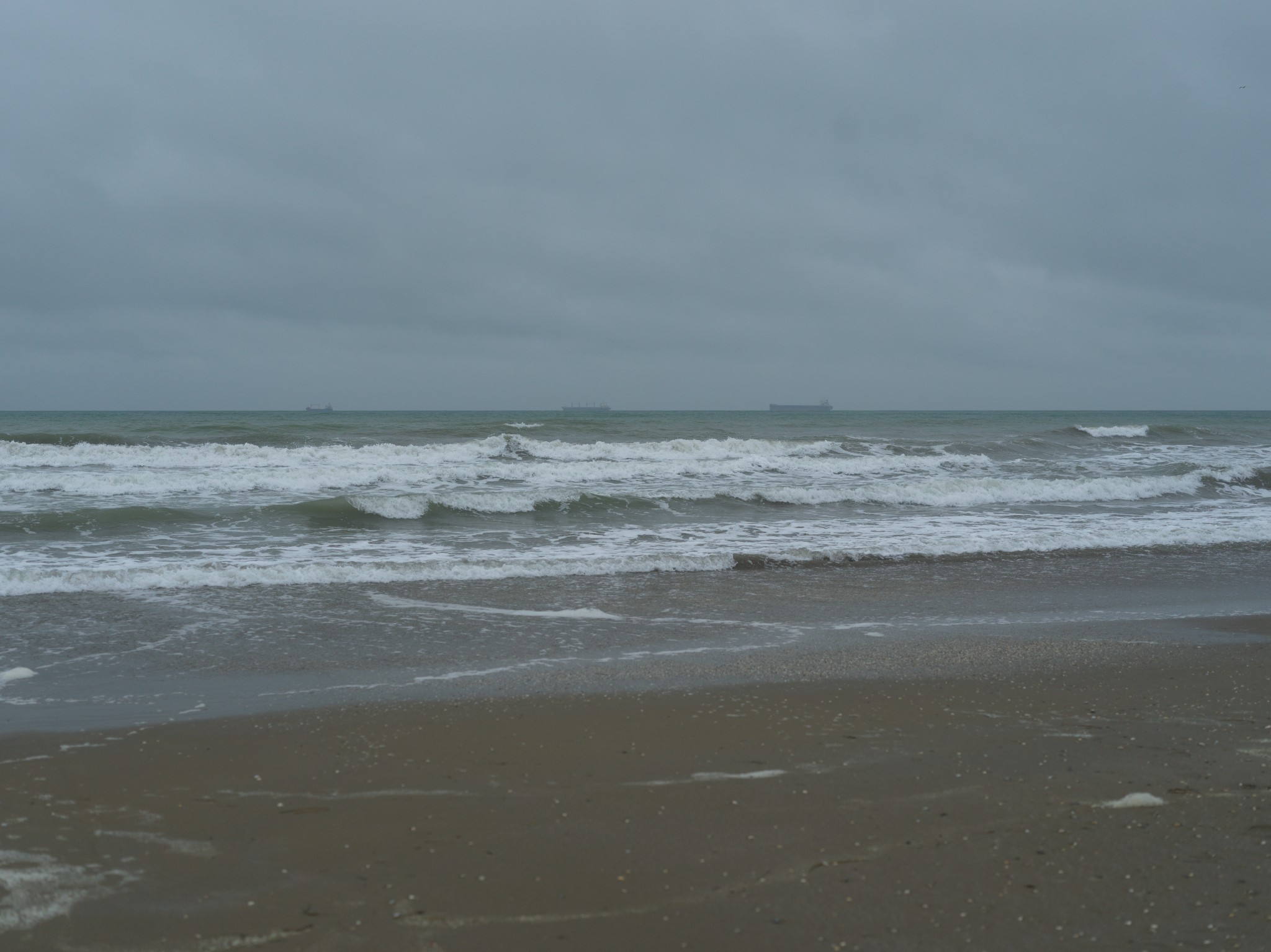 Venice 2025 oct nov 0014 