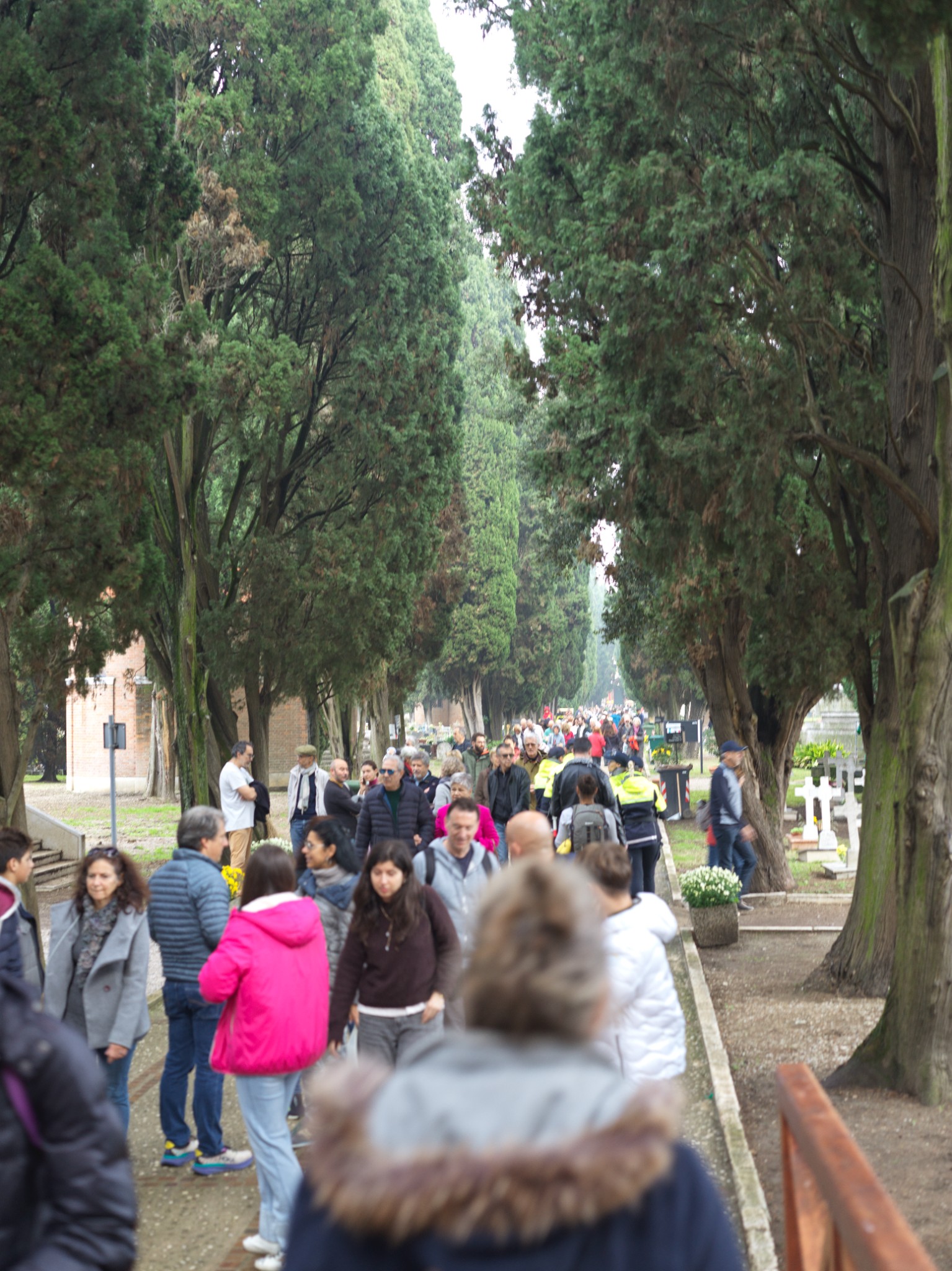 Venice 2025 oct nov 0021