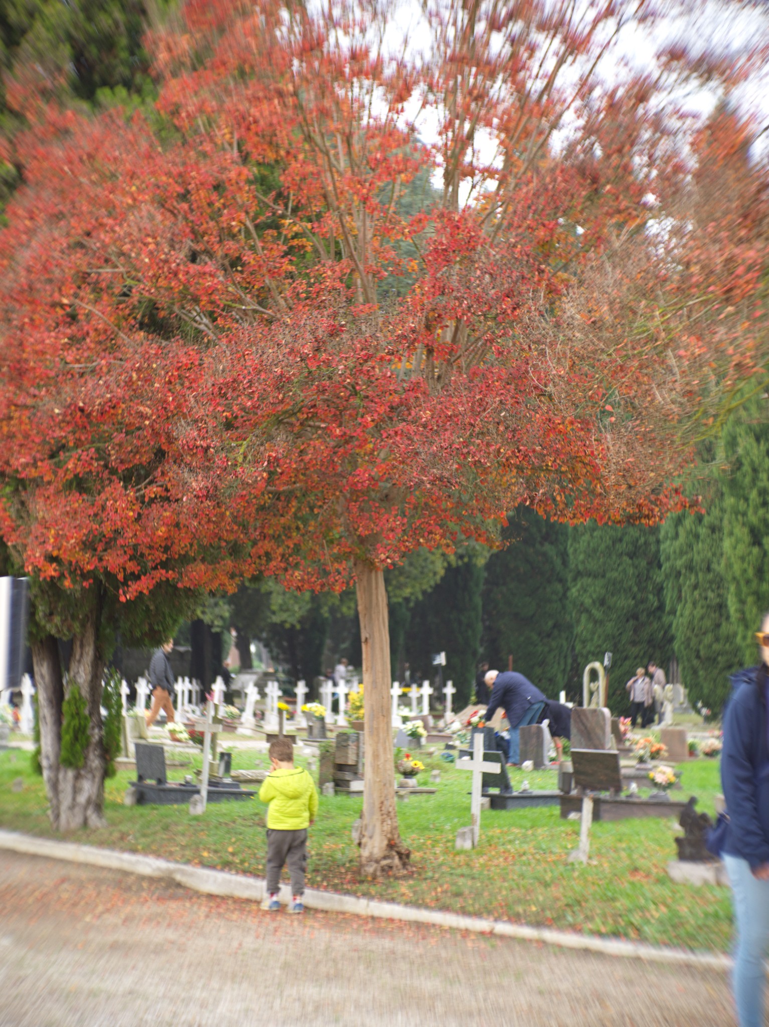 Venice 2025 oct nov 0023