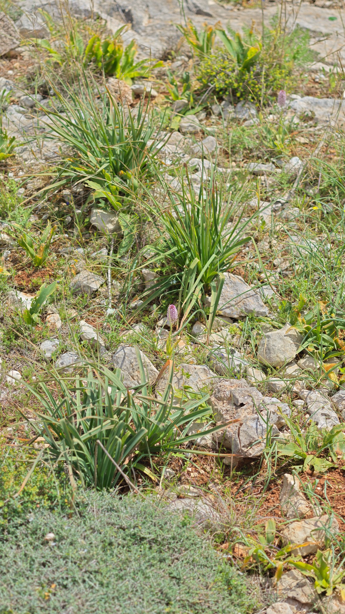 32 small is colorful