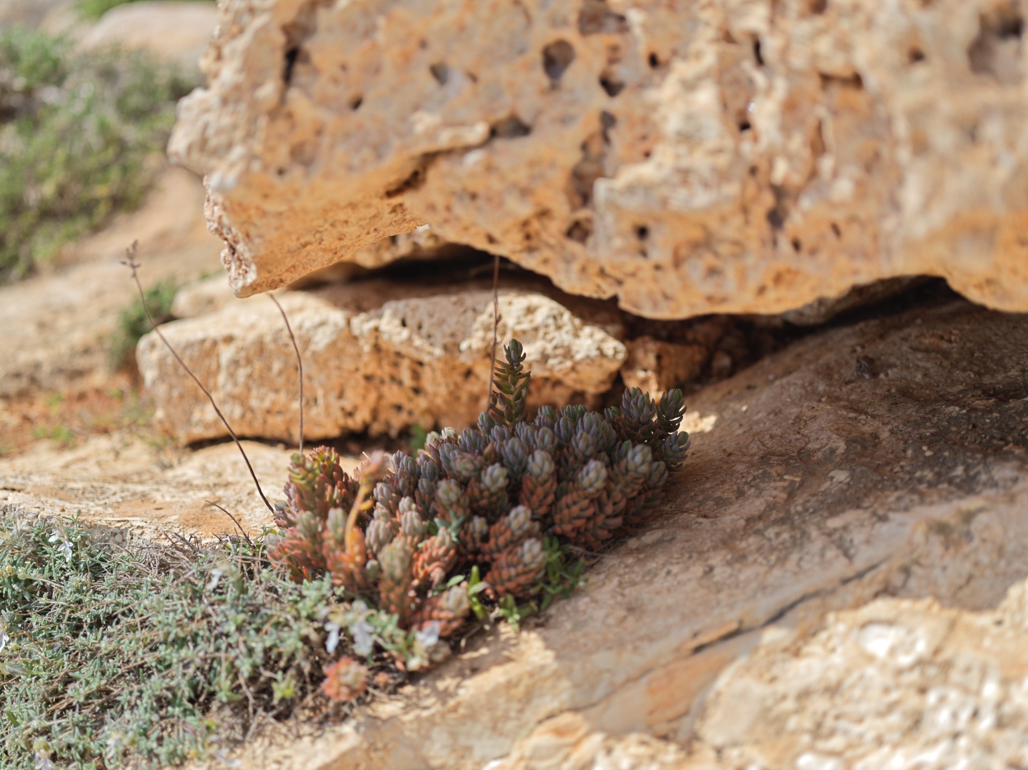 48 shelter from the storm