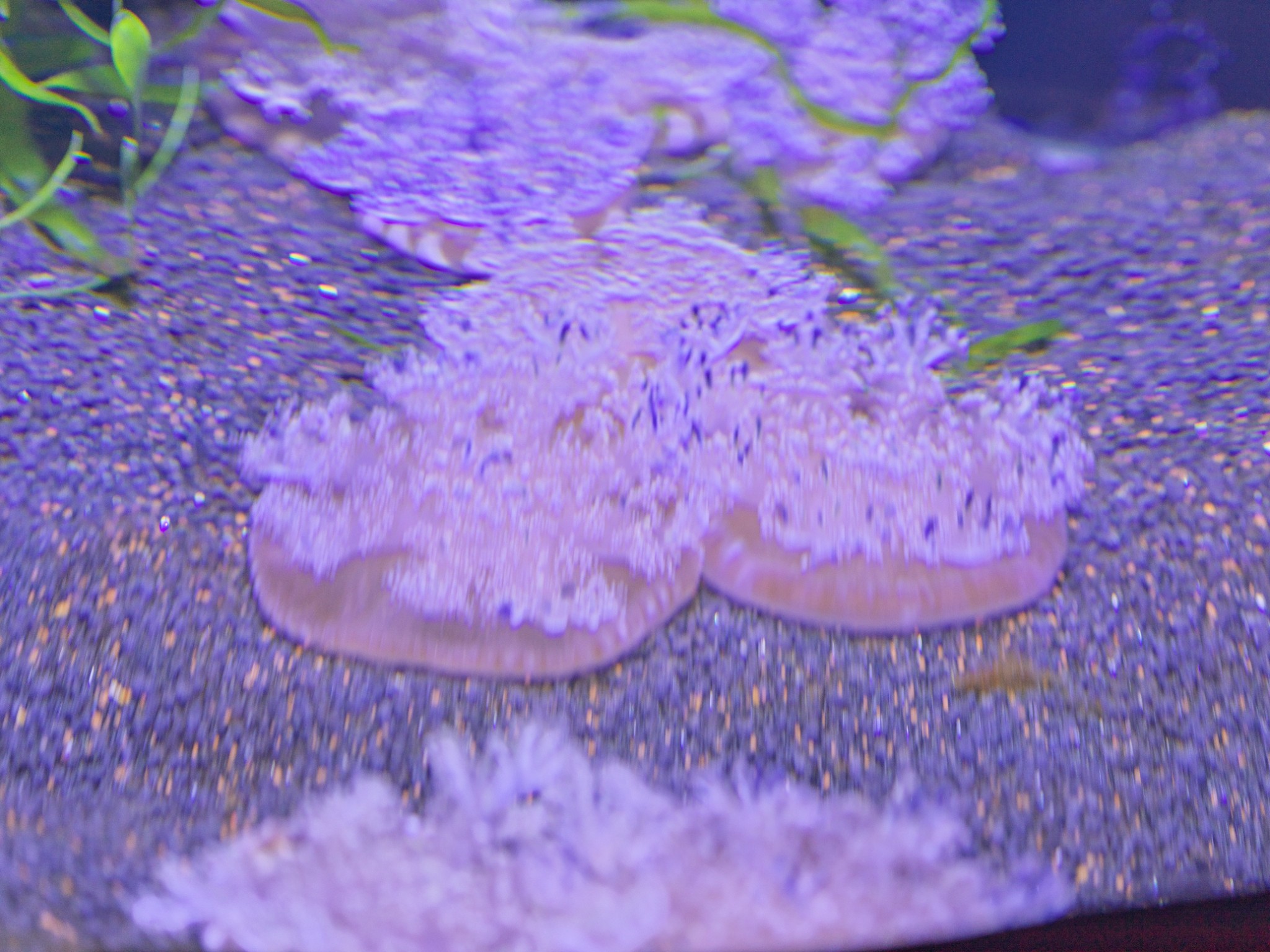 67 valletta under seaside