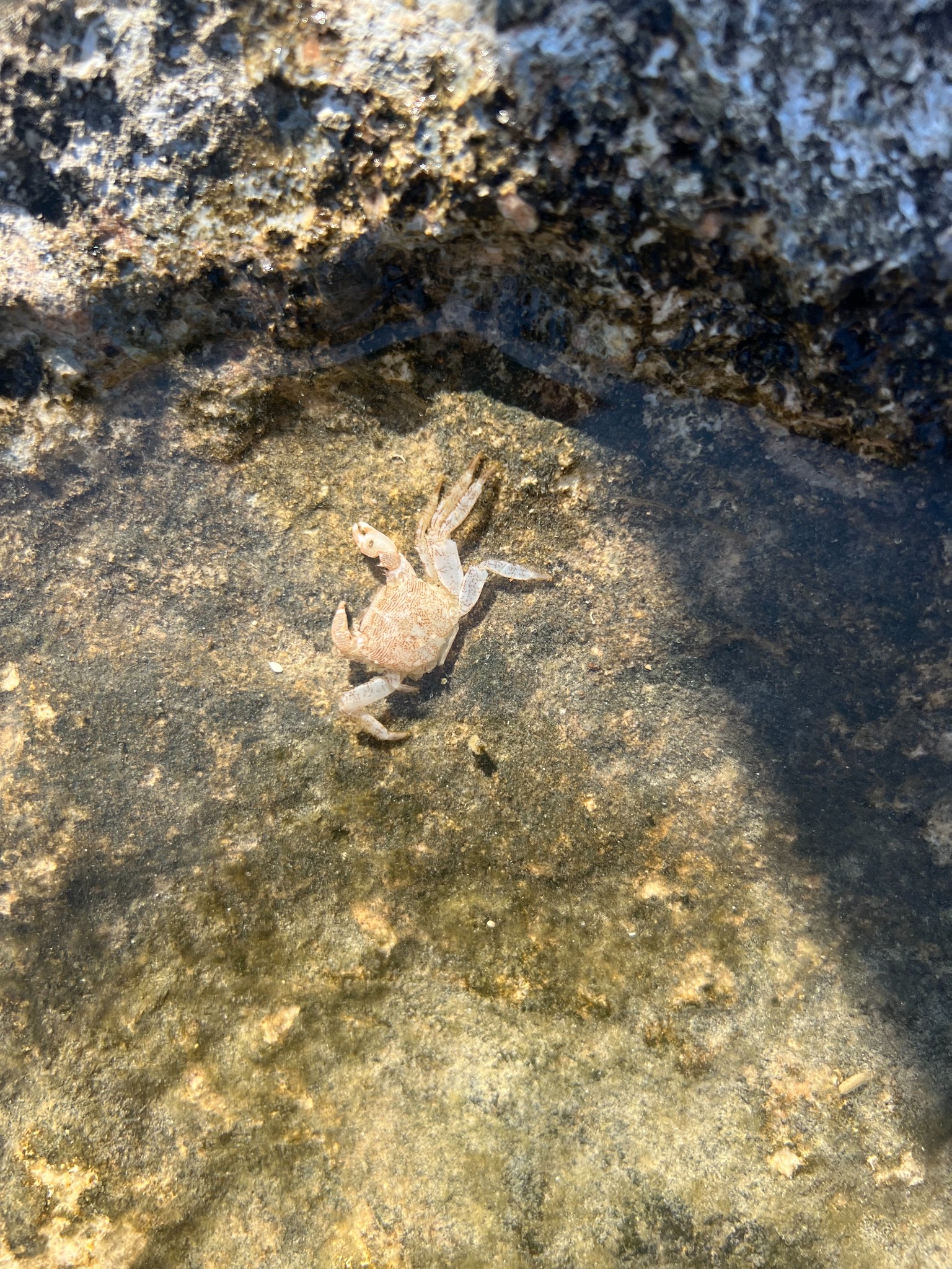 68 valletta seaside food