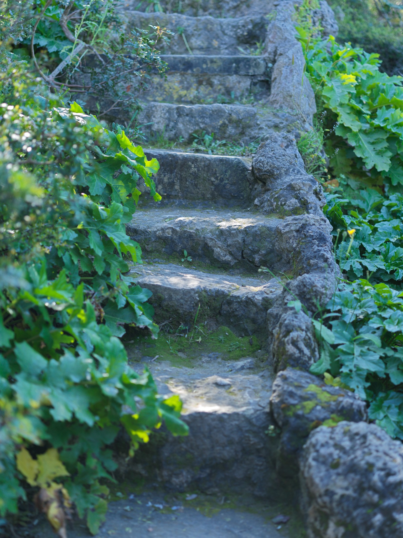 72 roman stairs to die for