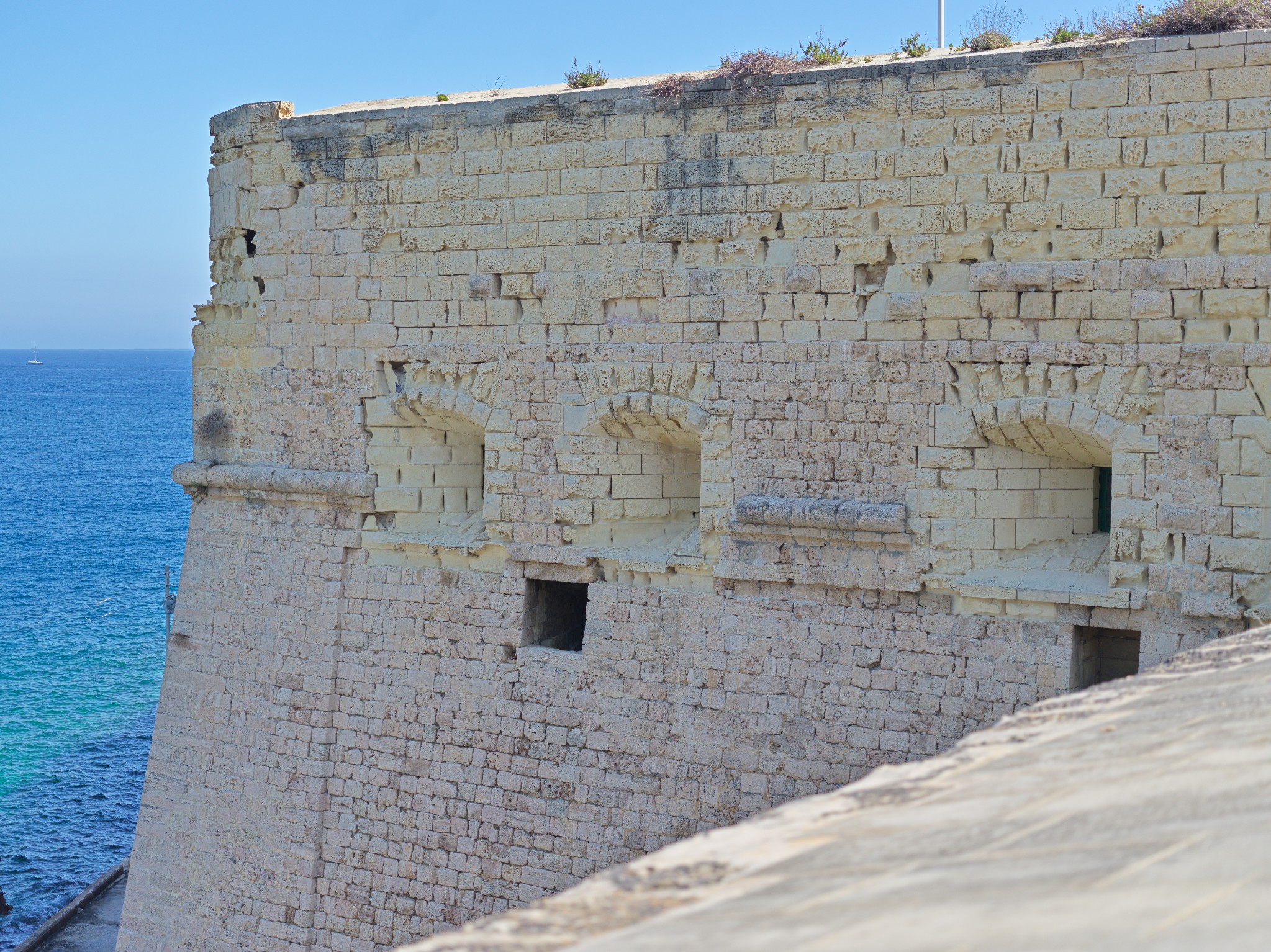 84 saint elmo s fire tailend