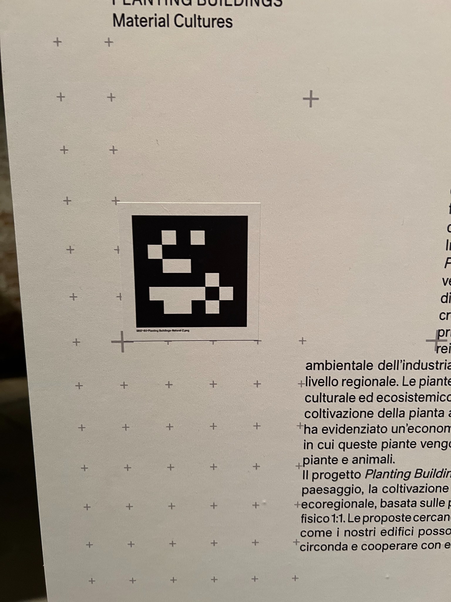 Arsenale exhibit halles only 16