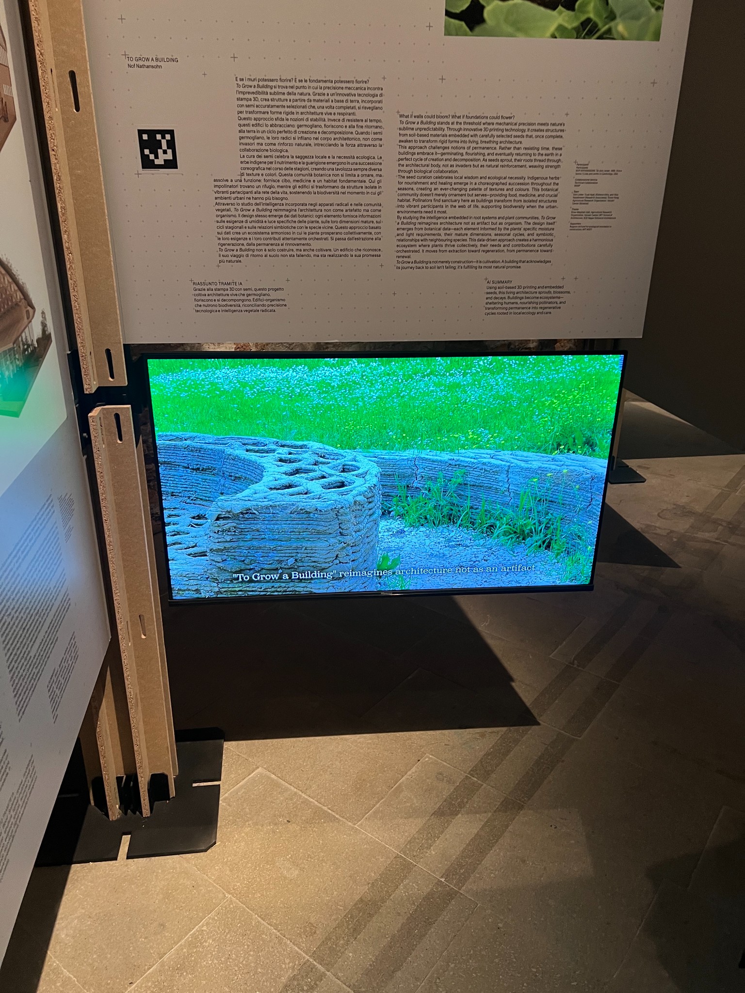 Arsenale exhibit halles only 17