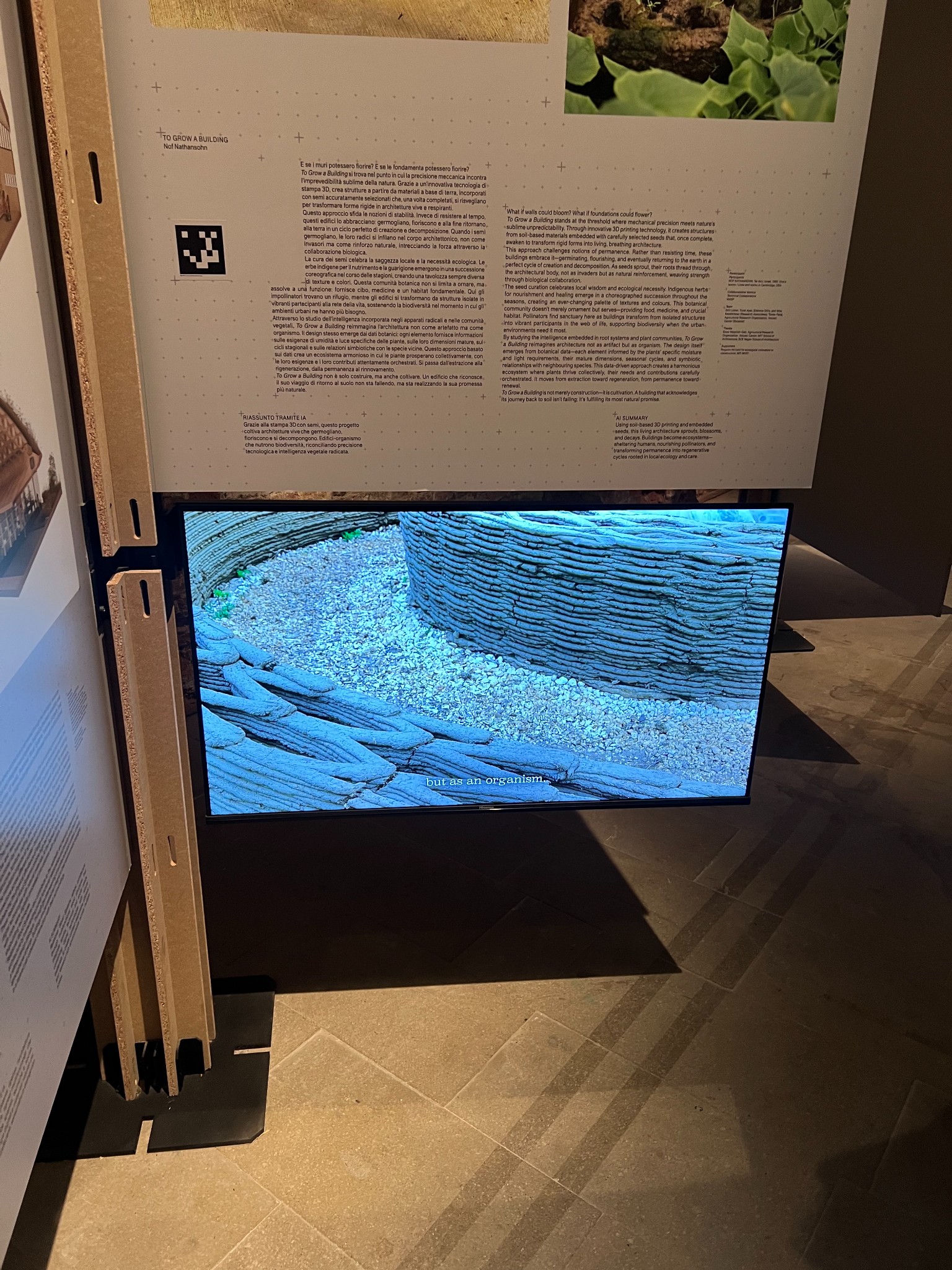 Arsenale exhibit halles only 18