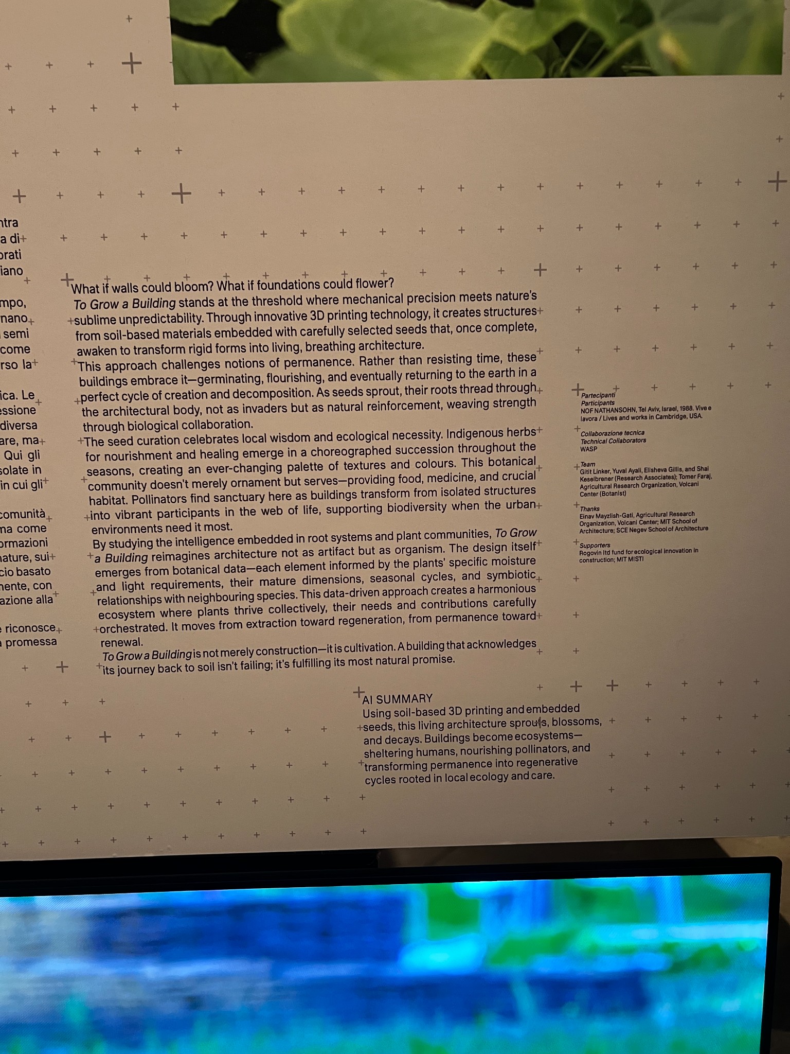 Arsenale exhibit halles only 19