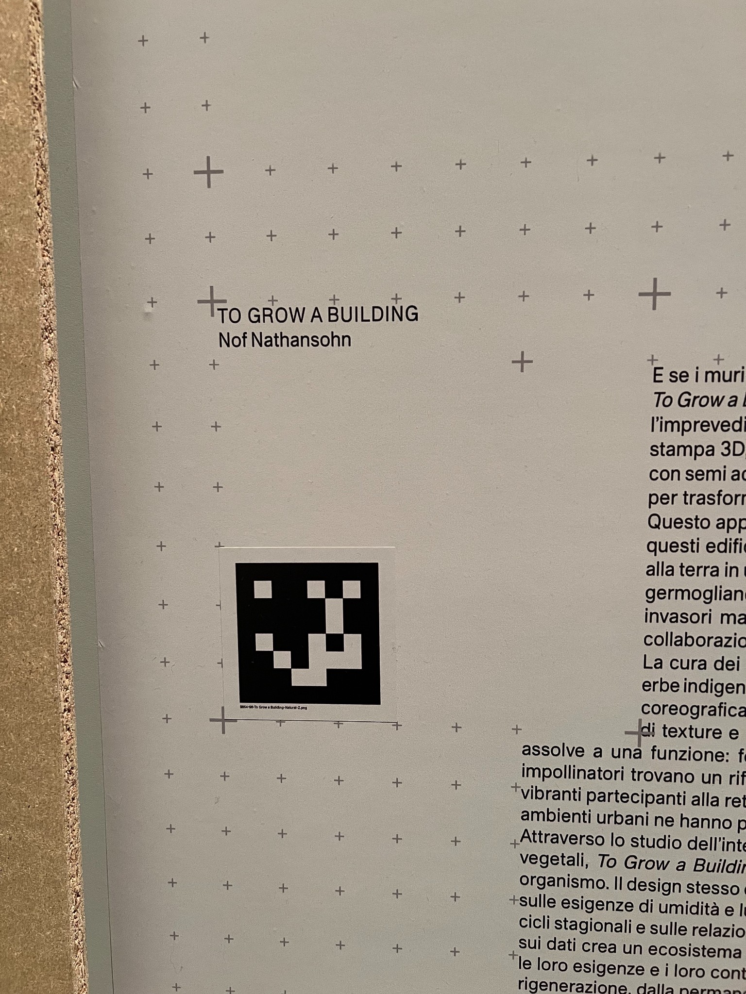 Arsenale exhibit halles only 20