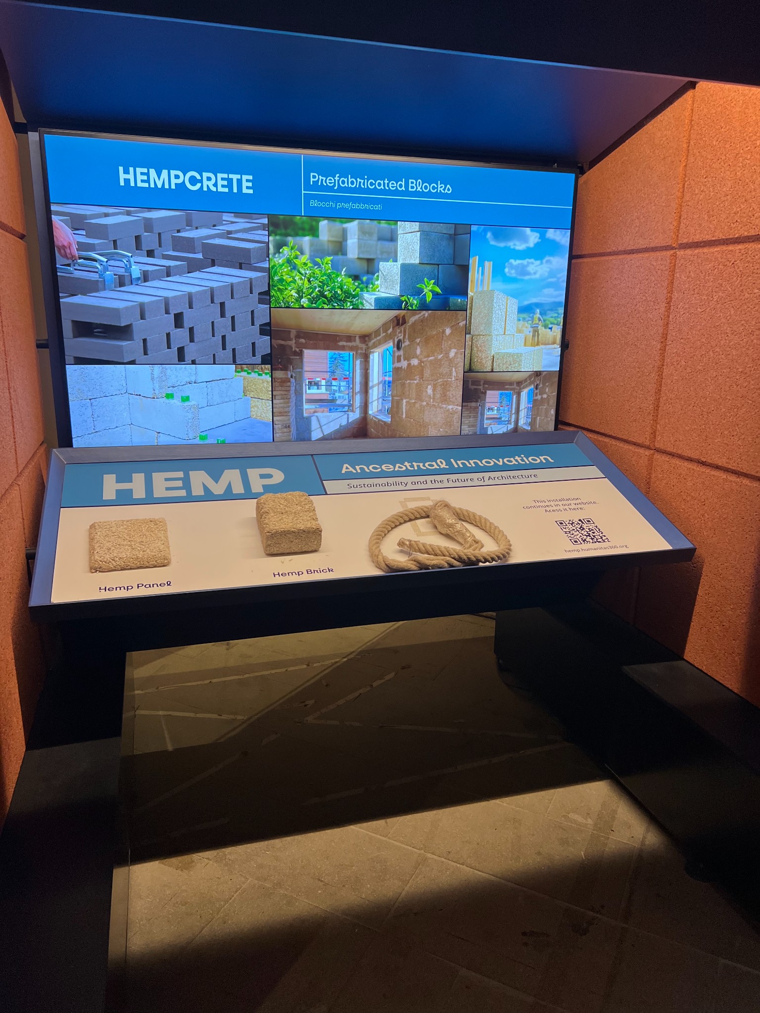 Arsenale exhibit halles only 36