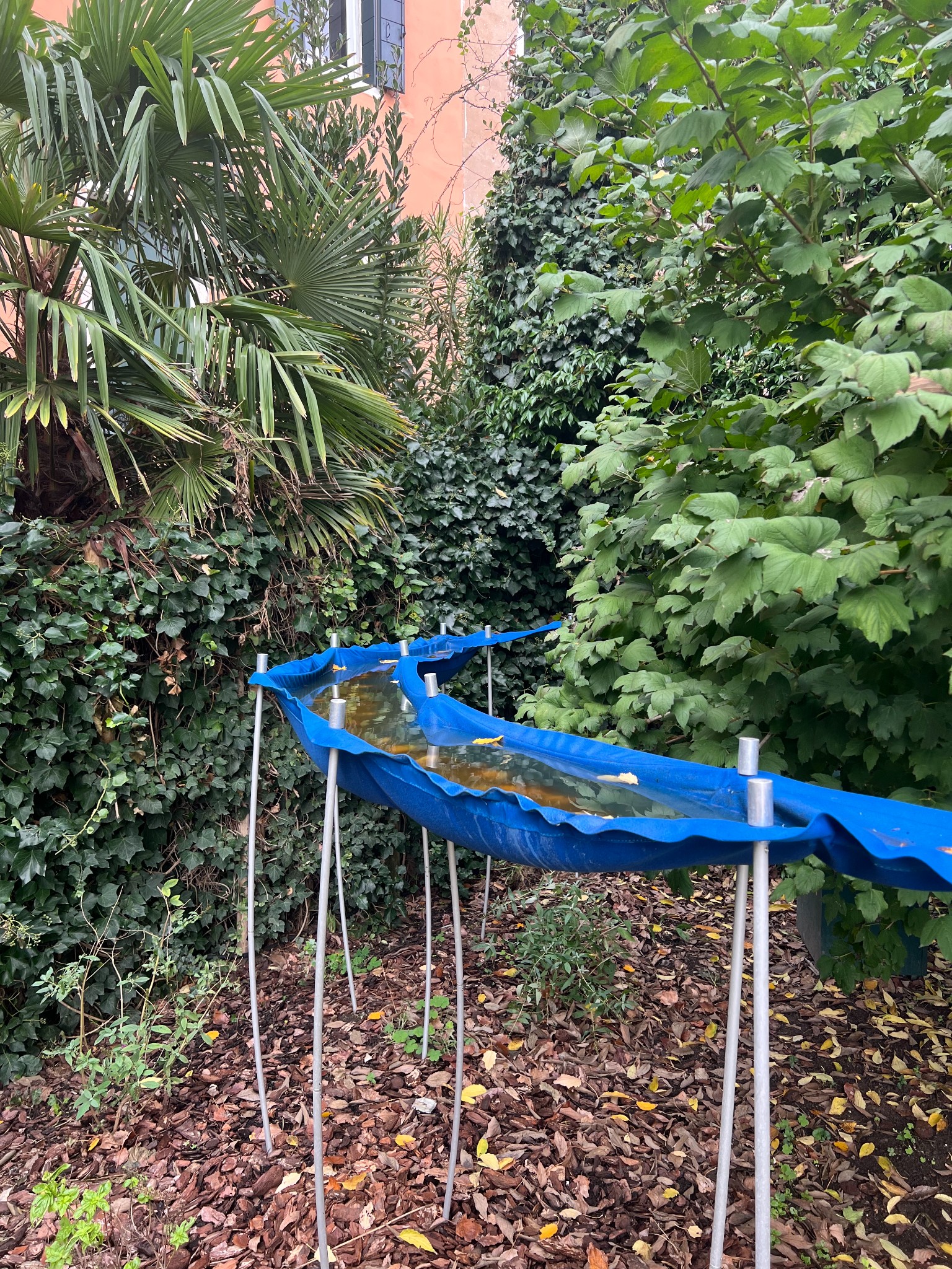 Girardini free admission 01