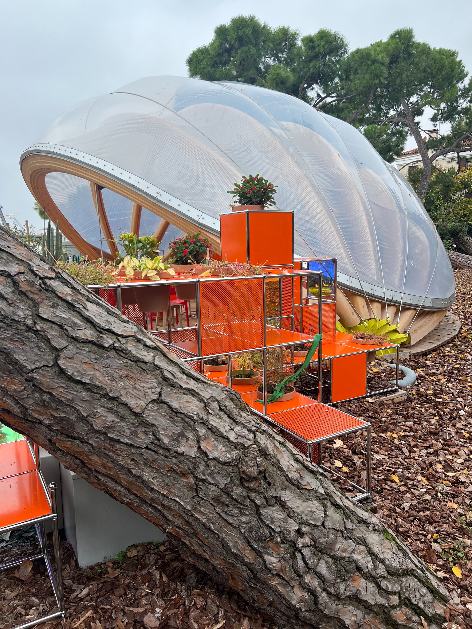 Girardini free admission 02